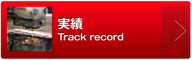 実績（Track record）